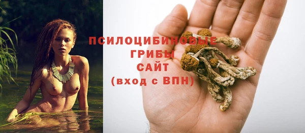 бошки Алексин