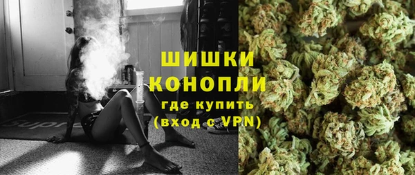 бошки Алексин