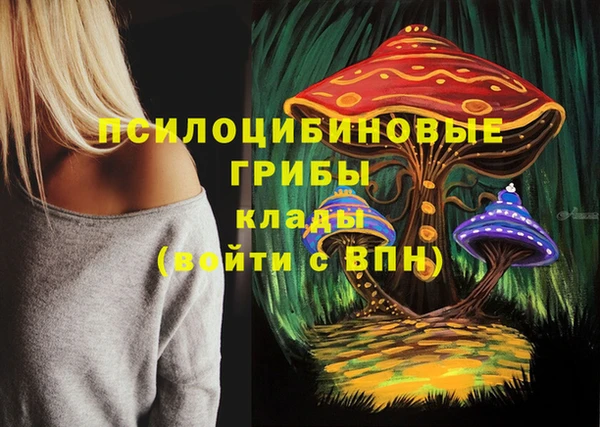 хмурый Алзамай