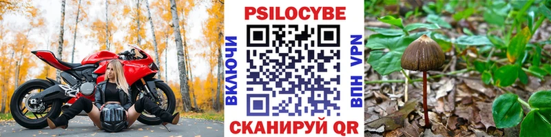 Псилоцибиновые грибы GOLDEN TEACHER  Зеленоградск 